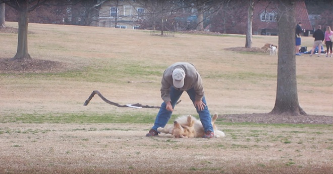 Hallottat játszik a kutya, aki nem akar hazamenni a parkból - VIDEÓ
