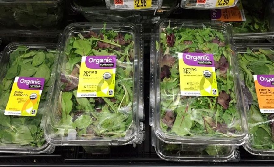 Döglött denevért találtak Amerikában egy előre csomagolt salátában